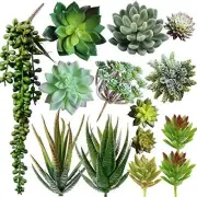 Pack of 14 Assorted Artificial Succulents Picks Textured Aloe Faux Succulent