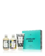 R and Co Limited Edition Spring 2025 Jewelry Box Hair Care Set