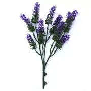 NNEDSZ Small lavender Wall Plant 26 cm