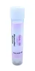 Nunatak Extract Stem Cell Peptide ~ UV Maintenance Solution