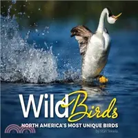 在飛比找三民網路書店優惠-Wild Birds ― Pictures and Insi