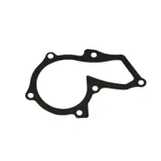 Genuine Ford Gasket Water Pump for Ecosport BK Fiesta WT WZ MCA Focus LW (for: Ford)