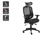 Ergolux EZ9 Ergonomic Mesh Office Chair