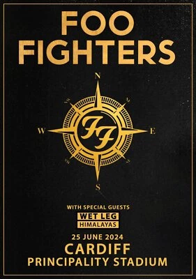 Foo Fighters (8) Band Concert Wall Art Poster Print Pick A Size Lot Up