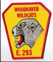 New York Fire Department (FDNY) Engine 293 Woodhaven Wildcats Patch