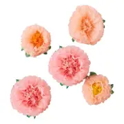 NEW Ginger Ray Lets Par Tea Flower Pom Poms Tissue Paper By Spotlight