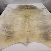 High End Colombian XLarge Vanilla Cream Light Brindle Natural Cowhide Rug CL-16