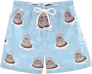 [RPLIFE] Boys Swim Trunks, Anti Chafe Swim Trunks Boys 2 T, Cute Walrus Hole