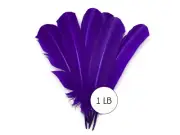 1 Lb Purple Turkey Tom Rounds Secondary Wing Quill Wholesale Feather Bulk Craft