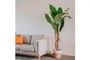 180cm Banana Tree - Artificial Plant, Home Decor Flora