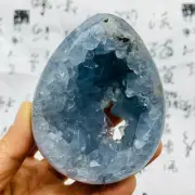 505g Natural Beautiful Blue Celestite Crystal Geode Cave Mineral