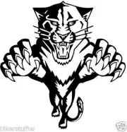 PANTHERS HELMET STICKER HARD HAT STICKER BUMPER STICKER