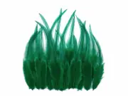 1 Dozen - Short Solid Peacock Green Whiting Farm Rooster Saddle Hair Feathers