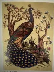 needlepoint Tapestry Gobelin L Canvas Only 60x80cm Peacock