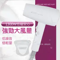 在飛比找PChome24h購物優惠-達新牌 低磁1300W速乾大風量吹風機 TS-2200