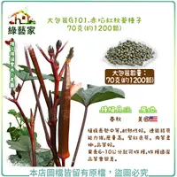 在飛比找Yahoo奇摩購物中心優惠-【綠藝家】大包裝G101.赤焰紅秋葵種子70克(約1200顆