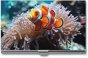 RKJVB Business Card Holder Clown Fish Slim Business Card Case Professional Name Card Holders Purse Name Card Organizer Minimalist Pocket Card Cases for Men Women
