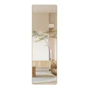 Yezi Full Length Mirror 120cm Door Wall Mounted Hanging Mirror Golden Frame