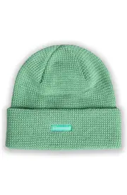 PLEASURES Old E Waffle Beanie in Matcha at Nordstrom One Size