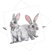 IWOWHERO 2pcs Rabbit Wall Decals Removable Easter Bunny Stickers for Boys and Girls Room Decorative Wall Stickers