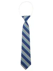 WCC Striped Tie