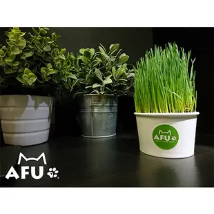 【AFU寵物世界】草杯杯 貓草杯 辦公室療癒小盆栽