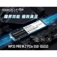 在飛比找蝦皮購物優惠-TEAM 十銓 MP33 PRO 512GB M.2 PCI