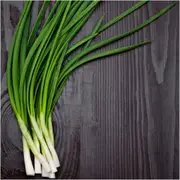 Onion (Spring) - Xandra F1 seeds