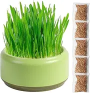 Hydroponic Cat Grass Planter - Soilless Culture Cat Grass Growing Kit with 5 Bags Seeds - Layered Hydroponic Cat Grass Box, Large Water Storage Cat Grass Pot, No Dirt No Mess No Smell, Anti Digging