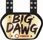 Big DAWG Golden Chrome Football Back Plate, Lower Back Pads for Football