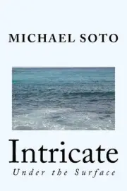 Intricate: Under the Surface by Michael Soto (English) Paperback Book