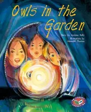 Owls in the Garden