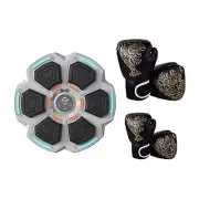 Music Boxing Machine Wall Target Boxing Equipment for Home Kickboxing Karate