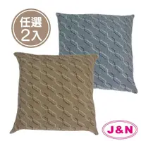 在飛比找鮮拾優惠-【J&N】簡約線條抱枕-45x45cm(2 入)