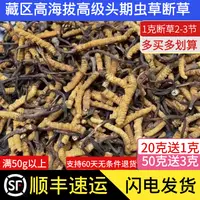 在飛比找淘寶網優惠-正宗野生蟲草冬蟲夏草斷草藏區精選10克斷草非西藏那曲蟲草泡酒