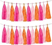 Rose red Pink and Orange Tassel Garland Banner Paper Tassels for Party Decorations,Pack of 15
