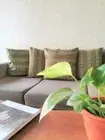 DECORATIVE THROW PILLOW LINEN CUSHION COVER 18X18 - KHAKHI GREEN