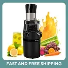 Masticating Juicer Machine for Whole Fruits & Vegetables, Cold Press Slow Juice