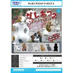 ★WOWTOY★現貨~2023.9月 扭蛋  QUALIA 轉蛋 地痞貓 貓咪 貓 P2 (小全6種)