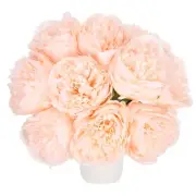 Artificial Flower Heads, Silk Peony Hydrangea Champagne Pink Faux Flowers 10Pcs