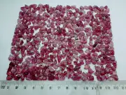 507 Carat Natural Rodolite Garnet Facet Tansparent Rough From Tanzania Africa