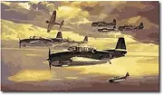 Paint by Numbers for Adults DIY Oil Paint by Number Adult Kit Paint by Numbers Adult Beginner Flying Old Fighters 16x20 Inch (Frameless)