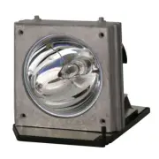 AL™ Series SP.80N01.001 Lamp & Housing for Optoma Projectors - 90 Day Warranty