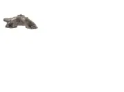 Yale 901296801, Exhaust Manifold