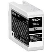 Epson UltraChrome PRO10 Ink Grey