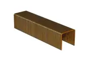 Bea P11 3/4" Wide Crown Staples (10,000) For Senco P 1" Crown Staplers, 3606PG