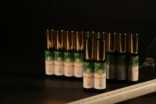 [精由香識] 台灣國寶一級木 肖楠精油 滾珠瓶裝