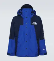 [The North Face] The North Face Gore-Tex® jacket AU 96 multicoloured
