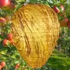 Wasp Nest Decoy Wasp Fake Trap 28x22cm Wasp Nest Removal Tool Home Yard Supplies