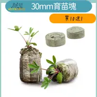 在飛比找蝦皮購物優惠-🌟台灣現貨🌟30mm育苗塊 買10送1 無菌育苗 多肉葉敷 